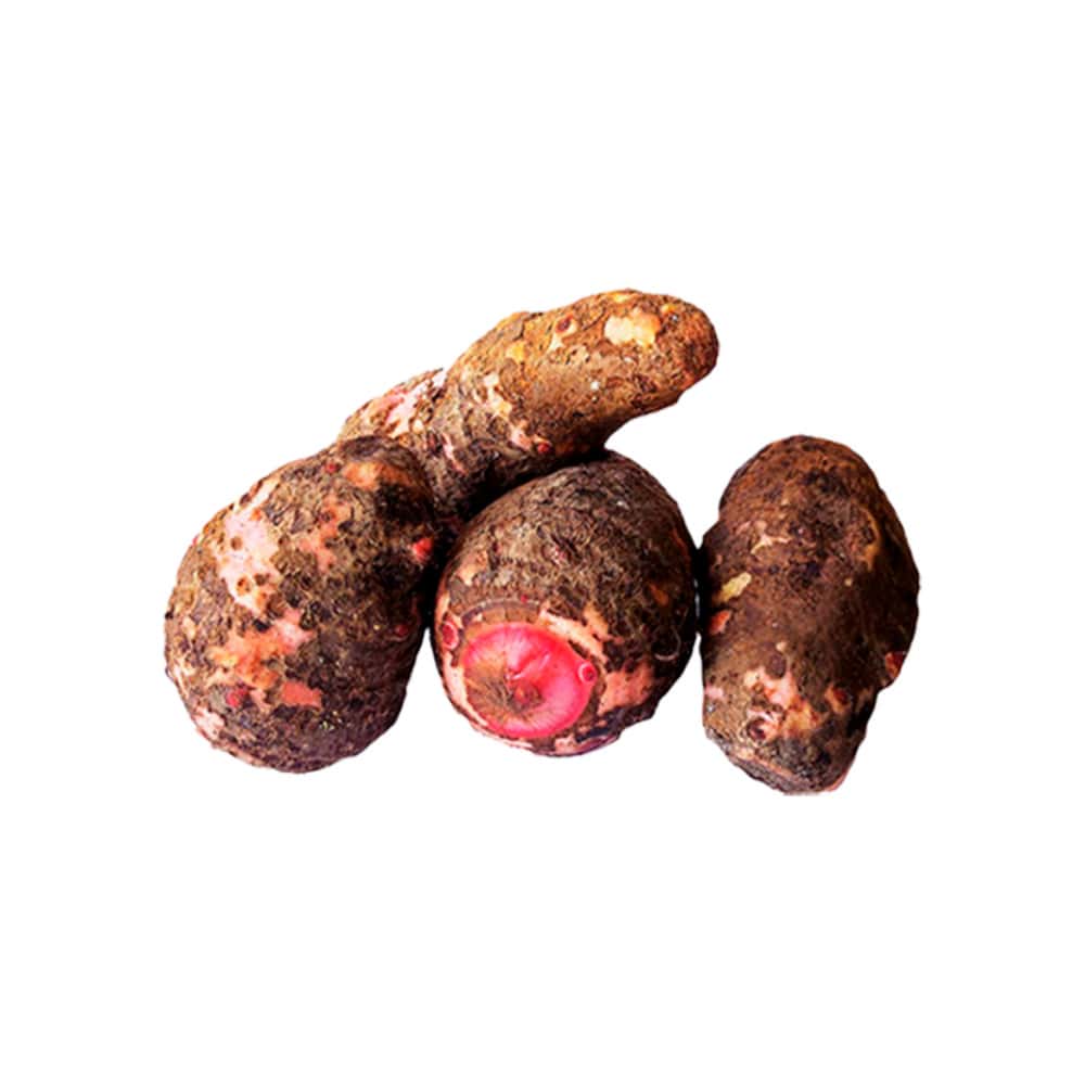 Malanga Fresco Habana (3.17 kg / 7 lb) - Miniatura 1