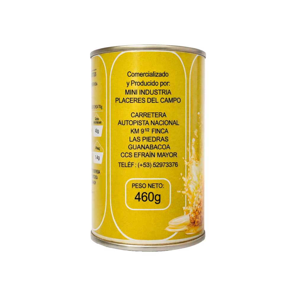 Dulce de Piña Placeres del Campo (460 g / 1.01 lb) - Miniatura 4