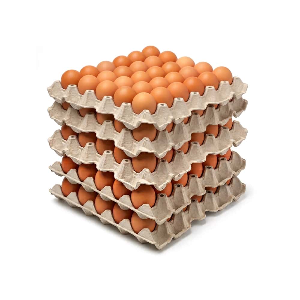 Huevo criollo orgánico e importado Peco ( 5 x 30 U) - Miniatura 1