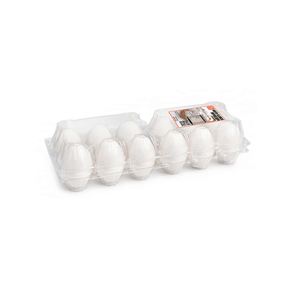 Huevo blanco importado PDL LMC (12 U) - Miniatura 2