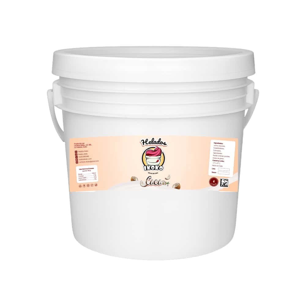 Helado sabor coco Ikoko (4 L) - Miniatura 1