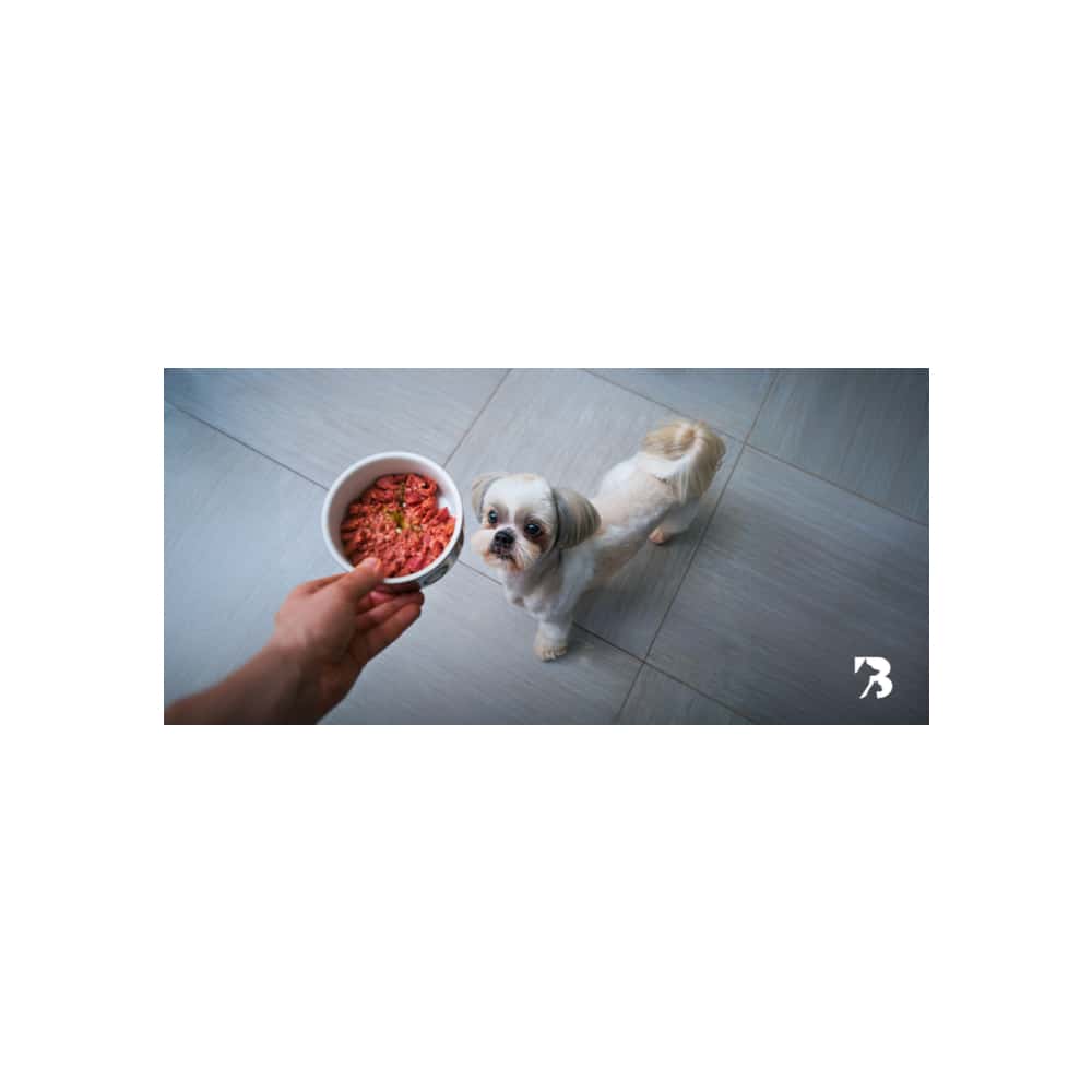 Alimento para perro adulto elaborado 100% a base de res Multisell (1.0 kg / 2.2 lb) - Miniatura 5