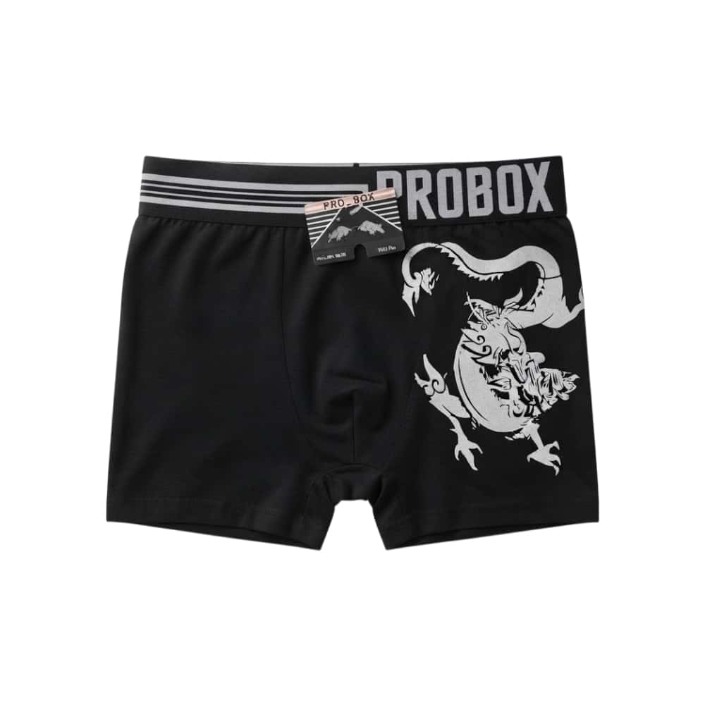 Calzoncillo para hombre negro con diseño de dragón Probox (Talla única) - Miniatura 1
