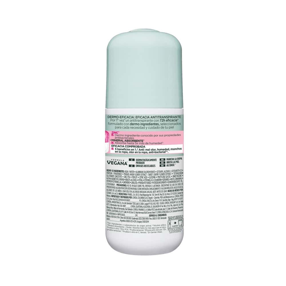 Desodorante antitranspirante zinc Obao Garnier (65 g / 2.29 oz) - Miniatura 6
