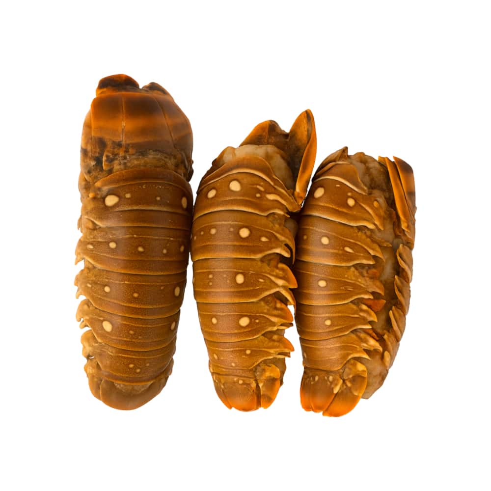 Cola de langosta Yunque (907 g / 2 lb) - Miniatura 1