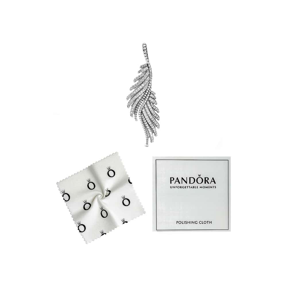 Colgante de plata S925 estilo Pandora alas majestuosas - Miniatura 2