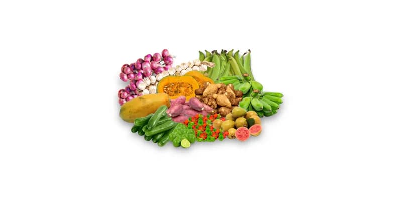 Combo del Agro 1