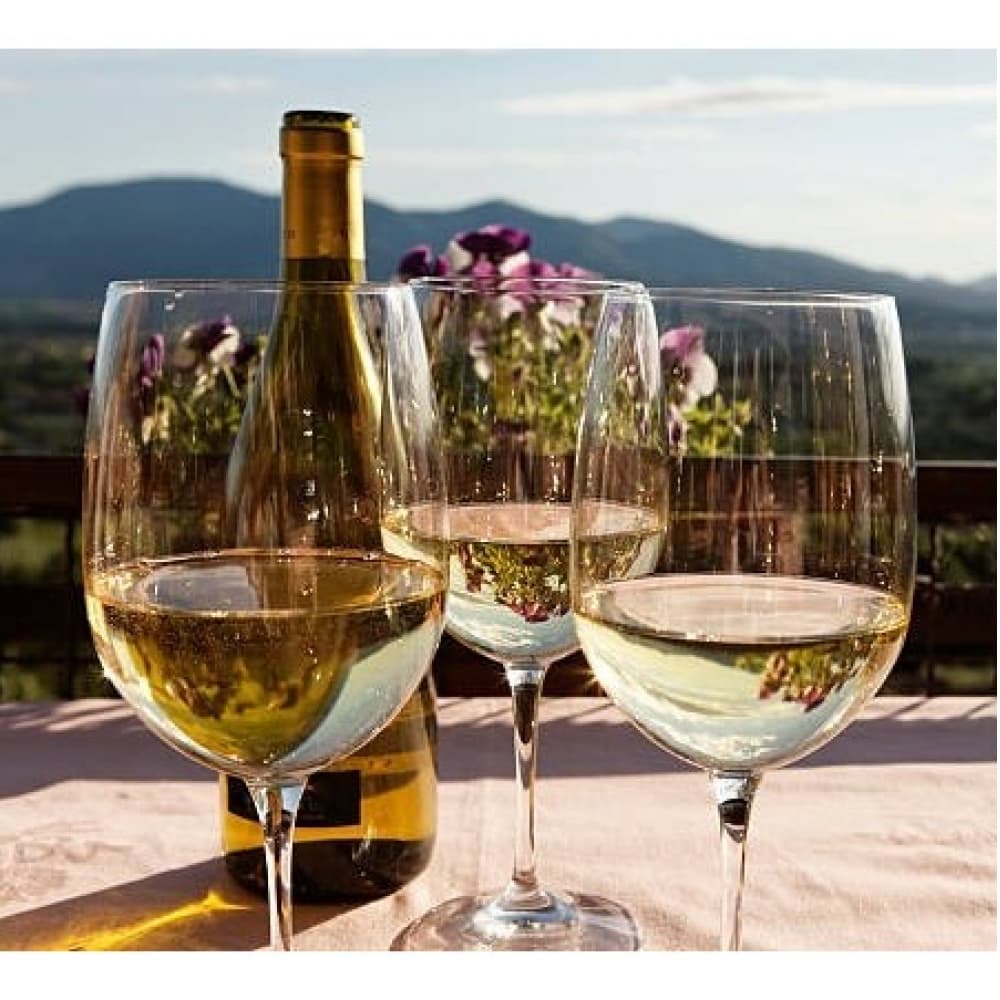 Vino blanco chardonnay Frontera (750 ml) - Miniatura 11
