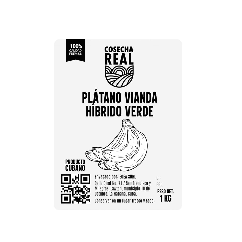 Plátano vianda híbrido verde Cosecha Real (1 kg / 2.2 lb) - Miniatura 3