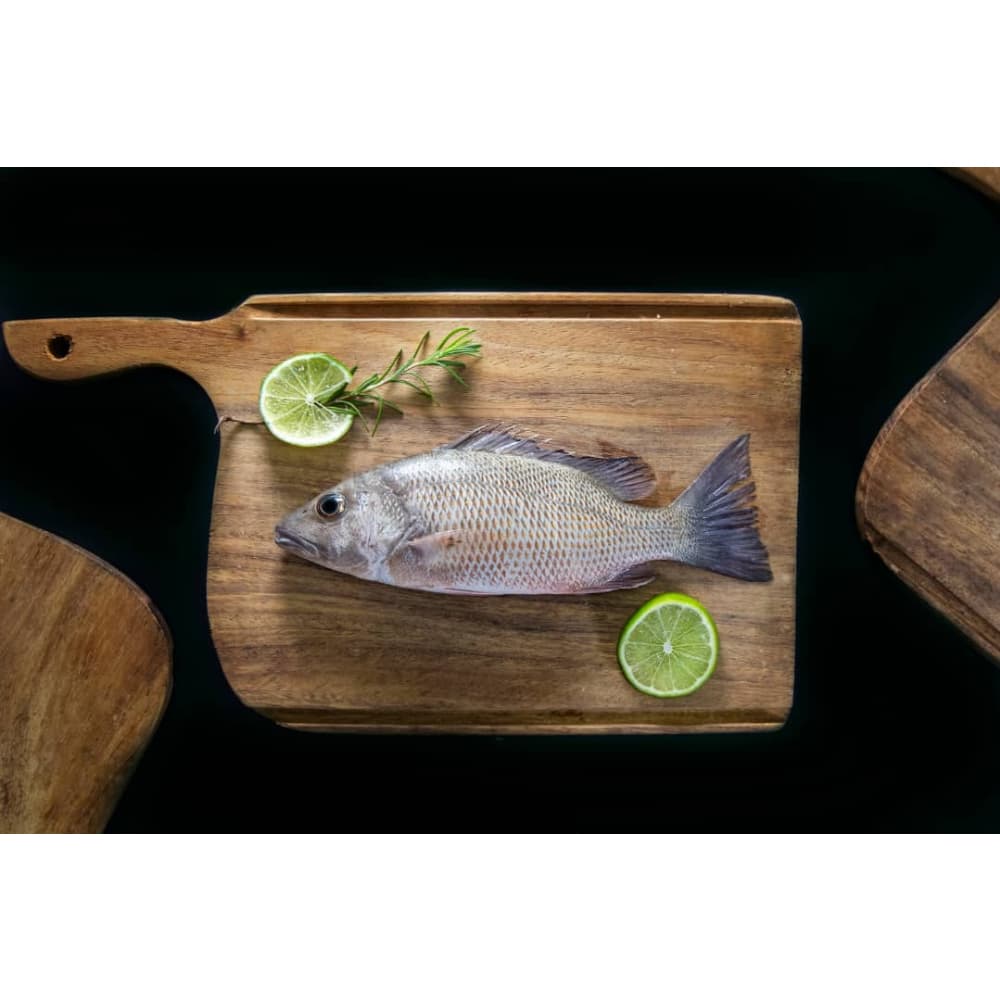 Pescado Pargo entero Ilé (3 kg / 6.6 lb) - Miniatura 5
