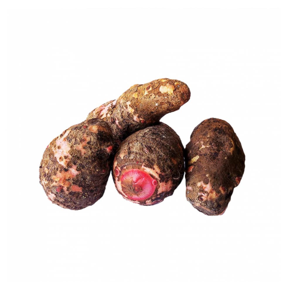 Malanga (2.27 kg / 5 lb) - Miniatura 2