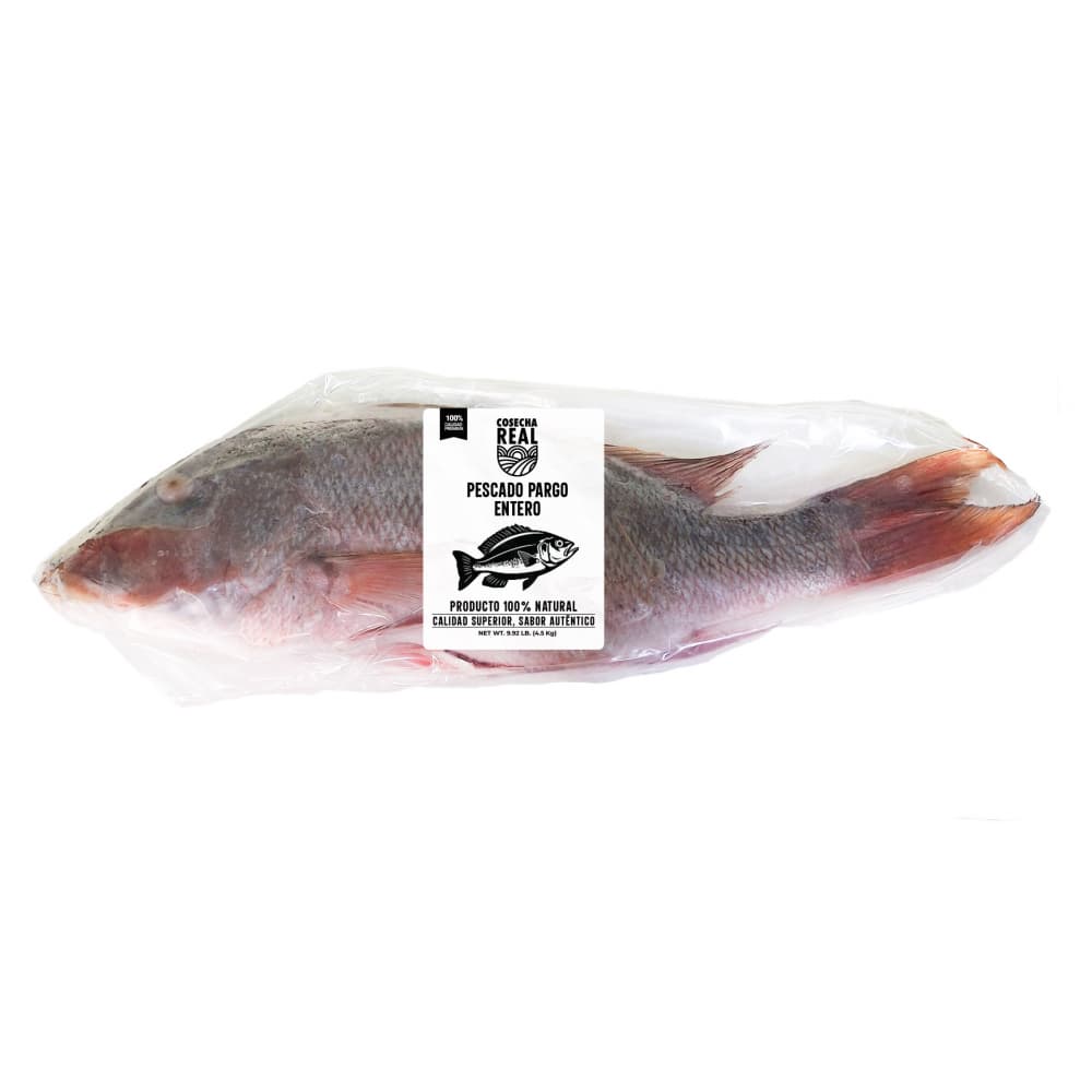 Pescado pargo entero Cosecha Real (4.5 kg / 9.92 lb) - Miniatura 2