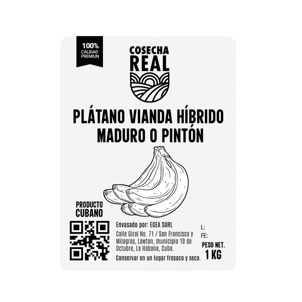 Plátano vianda híbrido maduro o pintón Cosecha Real (1 kg / 2.2 lb) - Miniatura 3