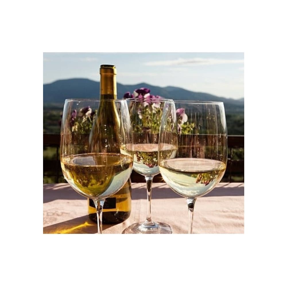 Vino blanco chardonnay Frontera (750 ml) - Miniatura 3