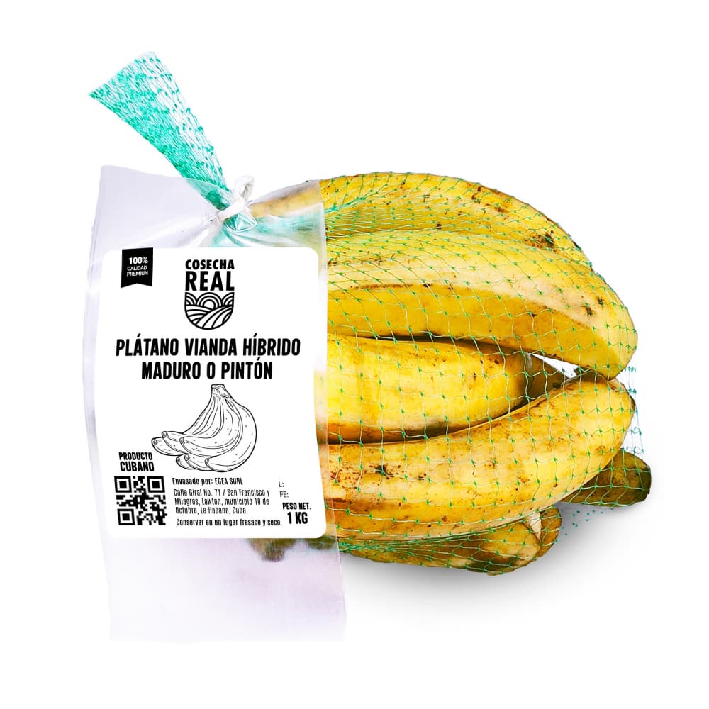 Plátano vianda híbrido maduro o pintón Cosecha Real (1 kg / 2.2 lb) - Imagen 1