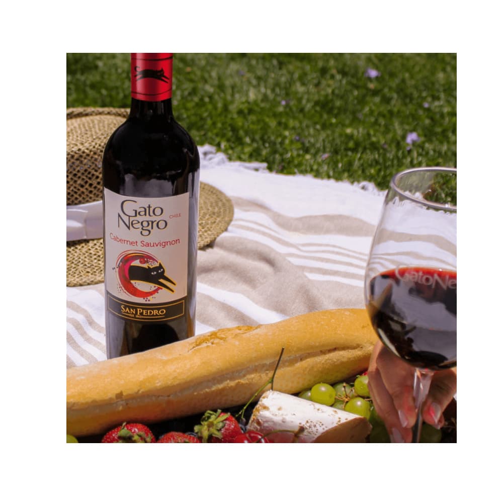 Vino tinto Cabernet Sauvignon Gato Negro (750 ml) - Miniatura 4