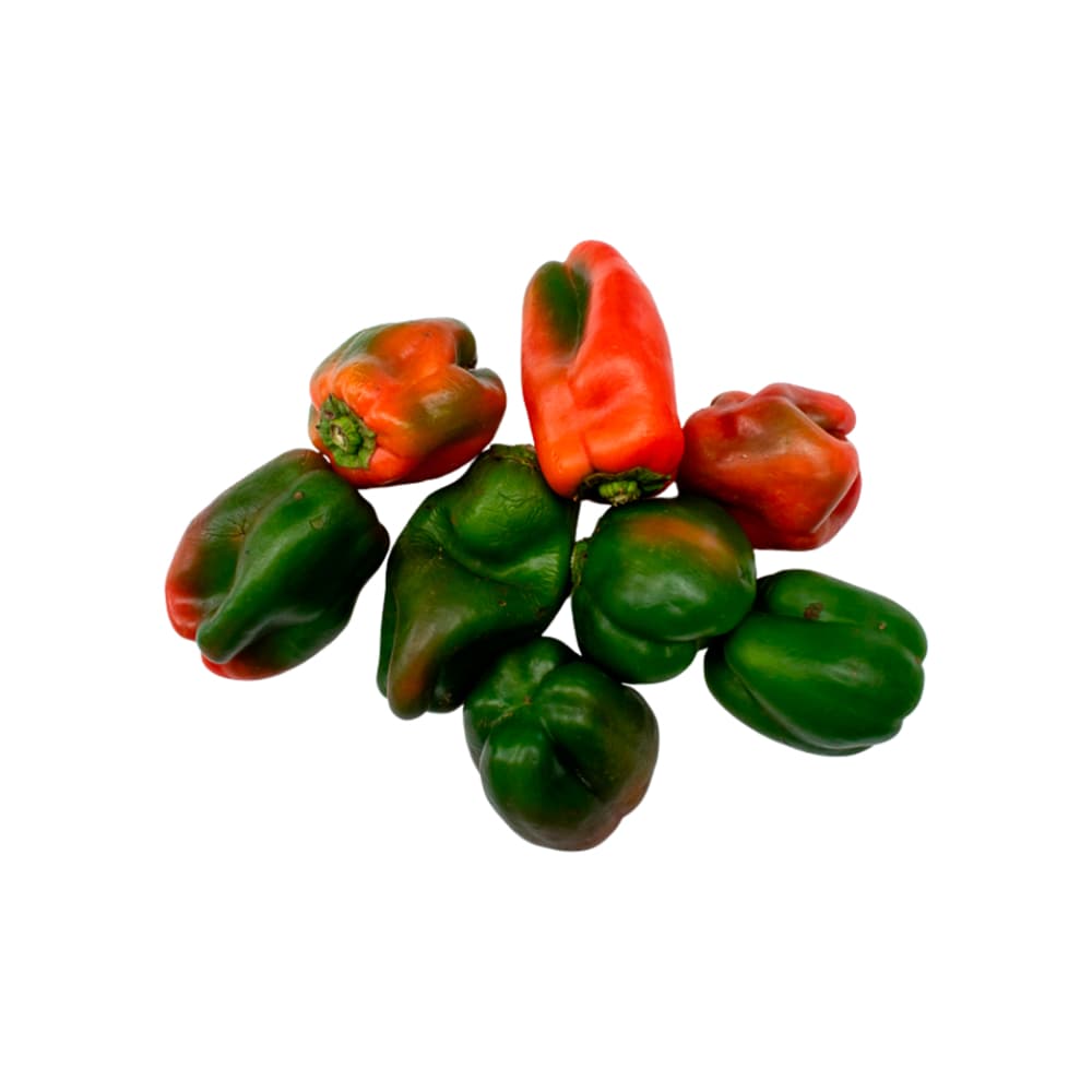 Pimientos MCH-Campestre (500 g / 1.1 lb) - Miniatura 2