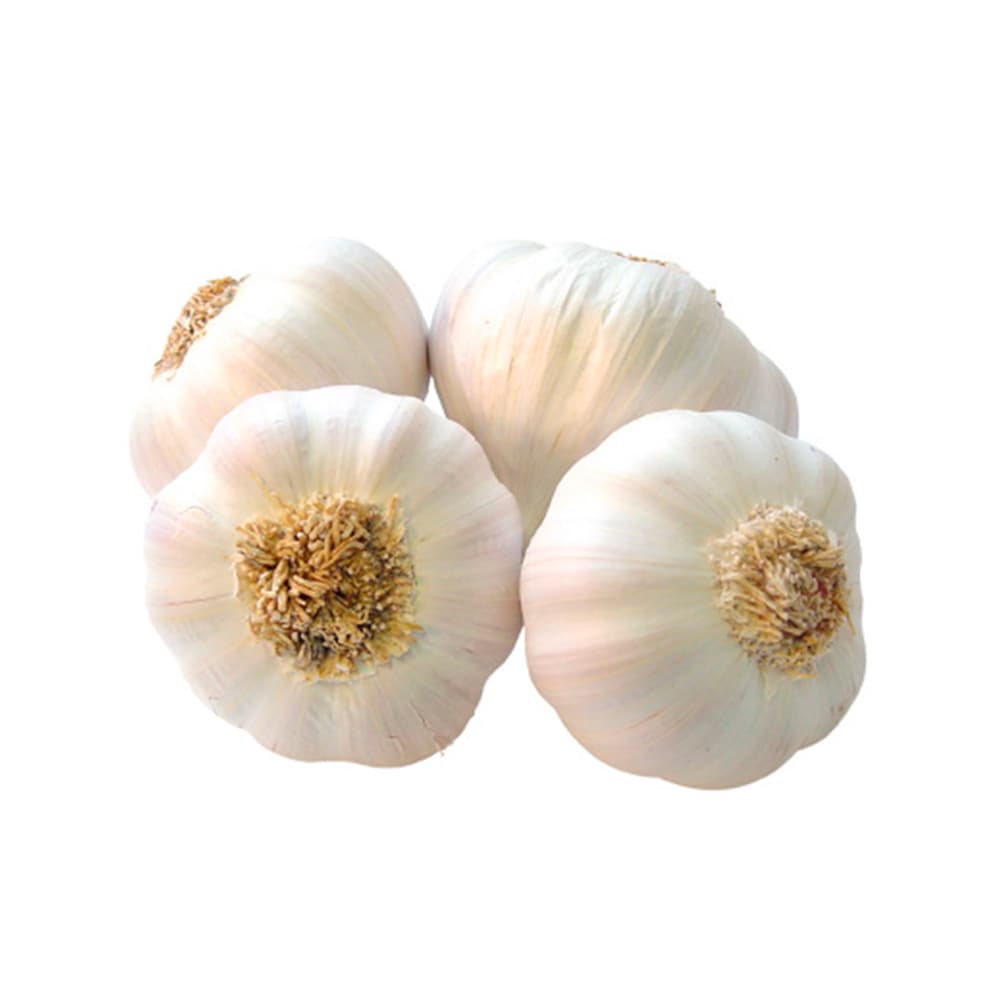 Cabezas de ajo IJM Maya (150 g / 5.3 oz) - Imagen 1