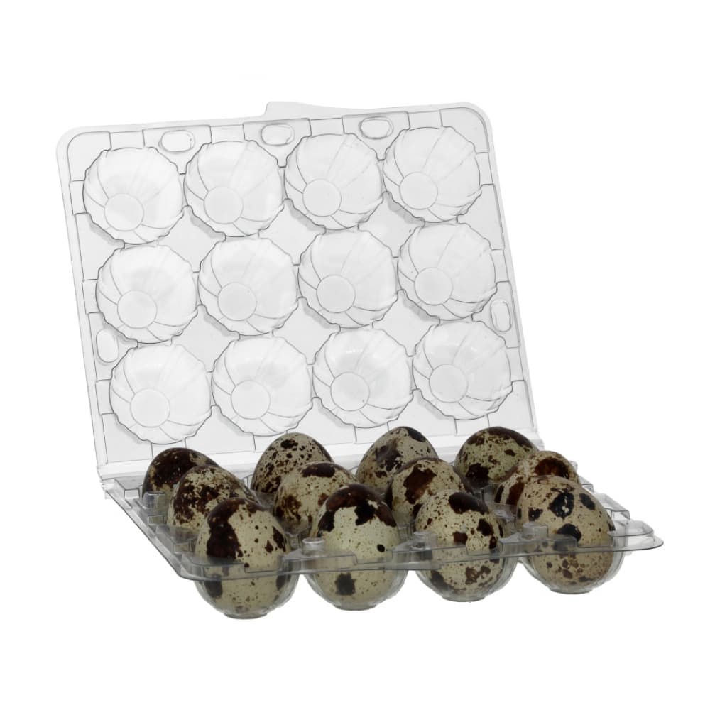 Huevos de codorniz (36 U) - Miniatura 3