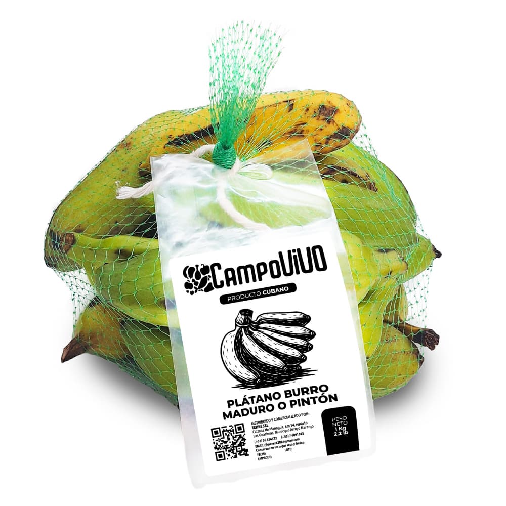 Plátano burro maduro o pintón Campo Vivo (1 kg / 2.2 lb) - Imagen 1