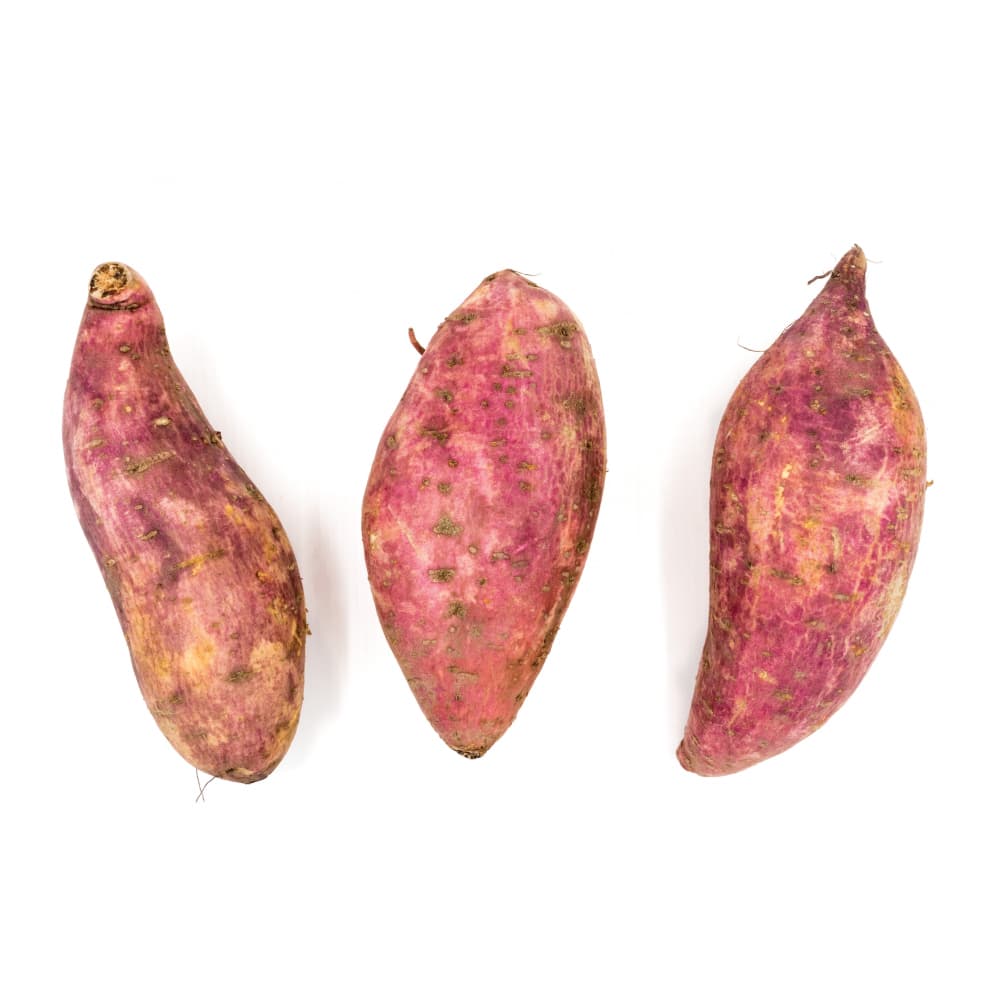 Boniato Campo Vivo (1.36 Kg / 3 lb) - Miniatura 2