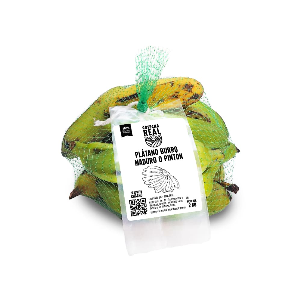 Plátano burro maduro o pintón Cosecha Real (2 kg / 4.4 lb) - Imagen 1