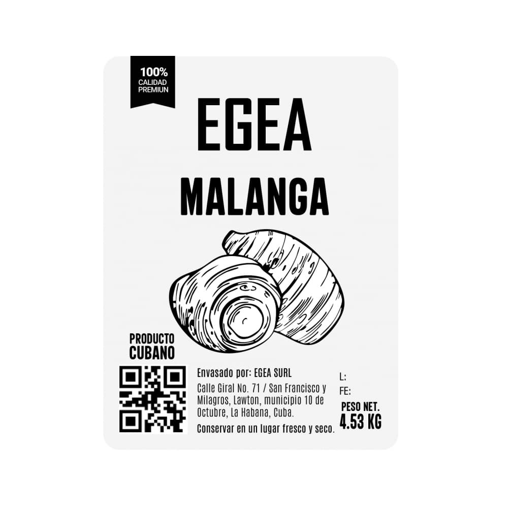 Malanga (4.53 kg / 10 lb) - Miniatura 3