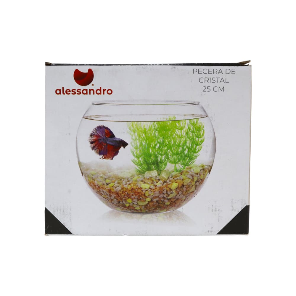 Pecera de cristal 25 cm Alessandro - Miniatura 3