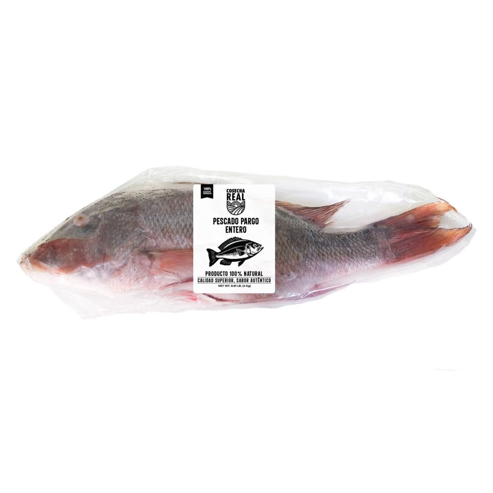 Pescado pargo entero Cosecha Real (4 kg / 8.81 lb) - Miniatura 2