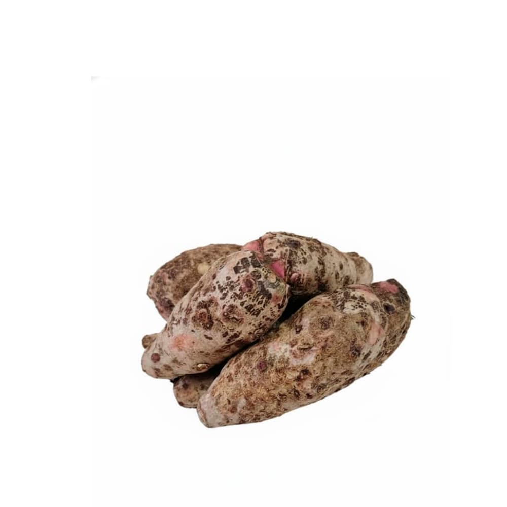 Malanga MCH (2.27 kg / 5 lb) - Miniatura 3