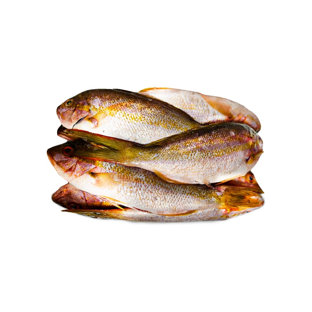 Pescado rabirrubia entero con escamas Cosecha Real (2 kg / 4.4 lb) - Imagen 1