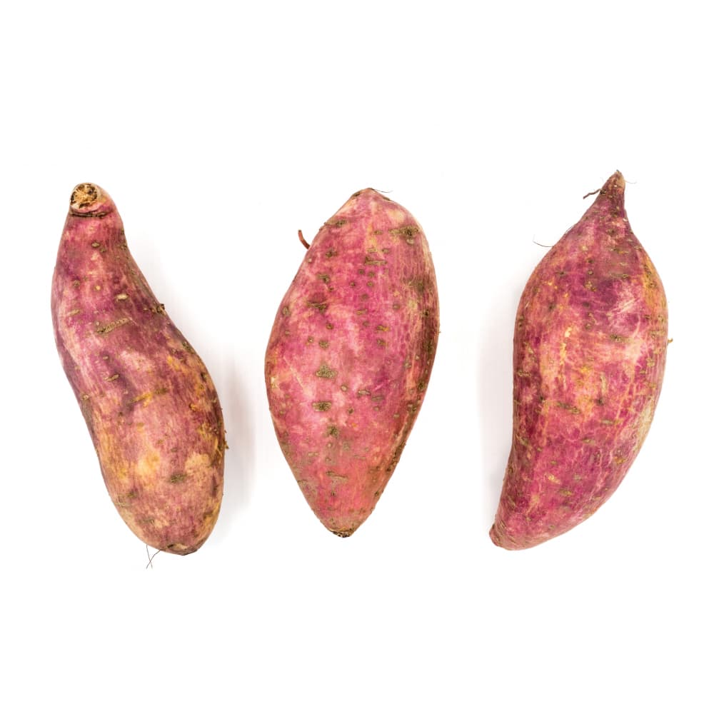 Boniato Campo Vivo (2.72 Kg / 6 lb) - Miniatura 2