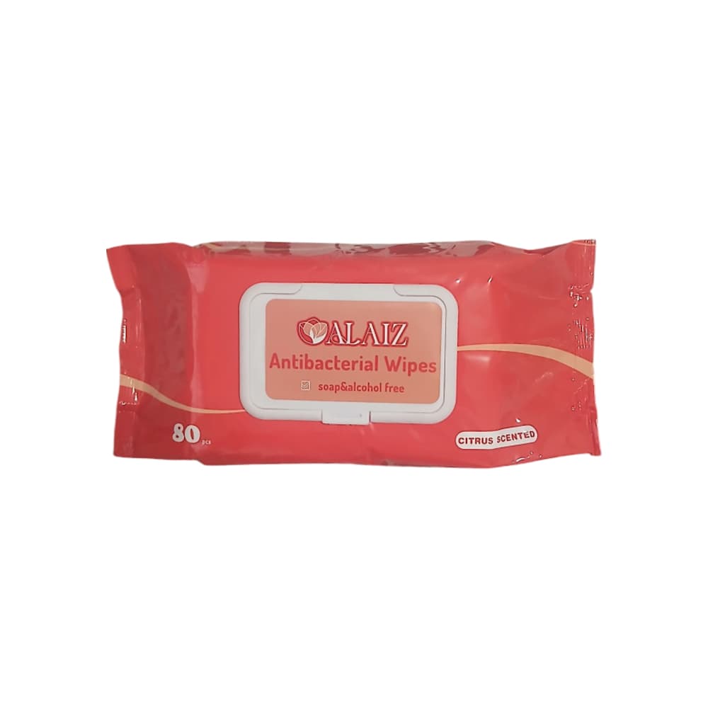 Toallitas húmedas antibacteriales Alaiz (80 U) - Imagen 1