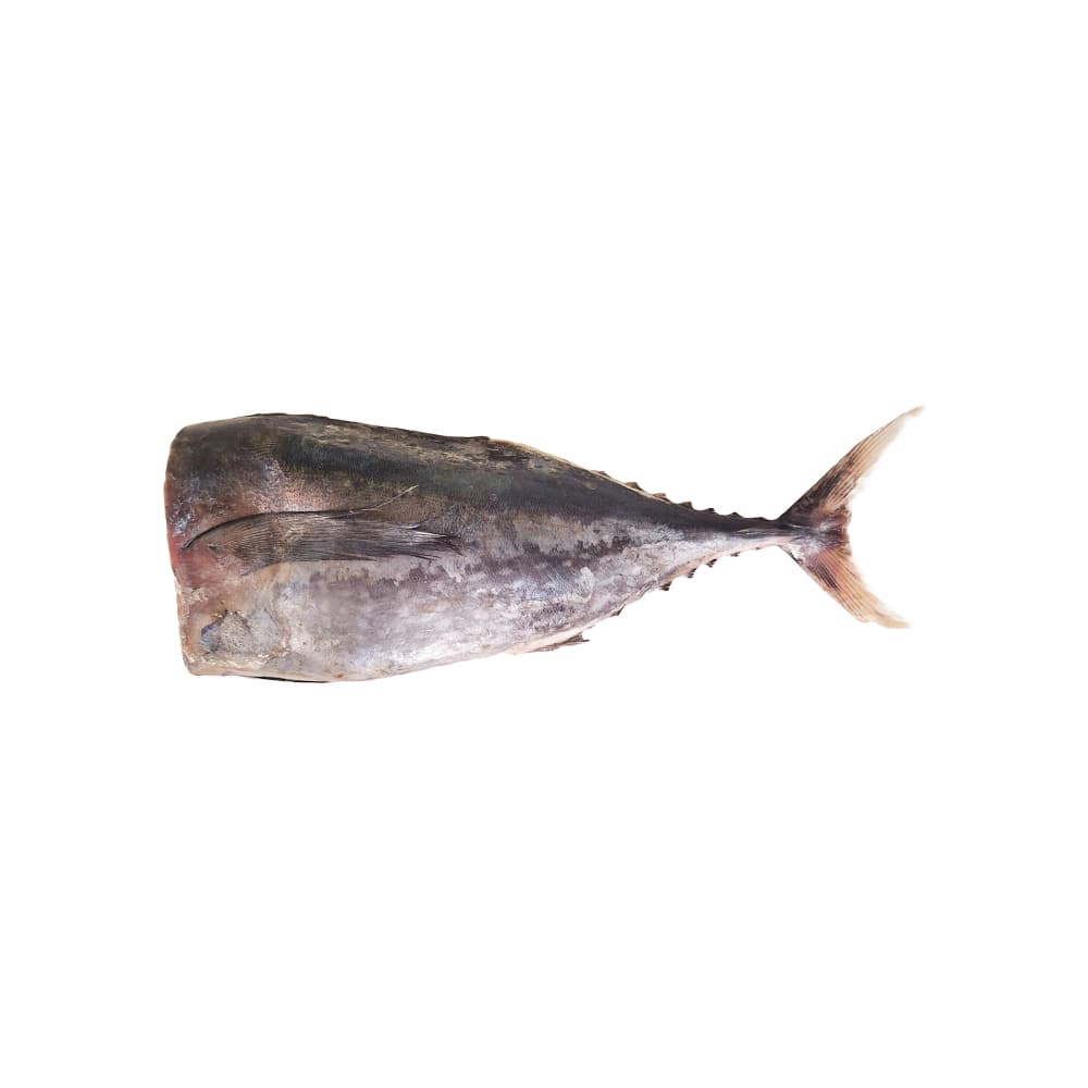 Pescado bonito sin cabeza Campo Vivo (1 kg / 2.2 lb) - Miniatura 2