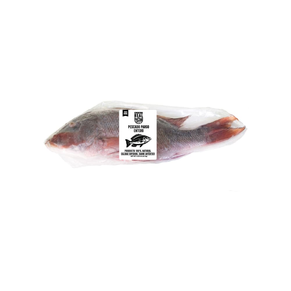 Pescado pargo entero Cosecha Real (6.5 kg / 14.33 lb) - Miniatura 2