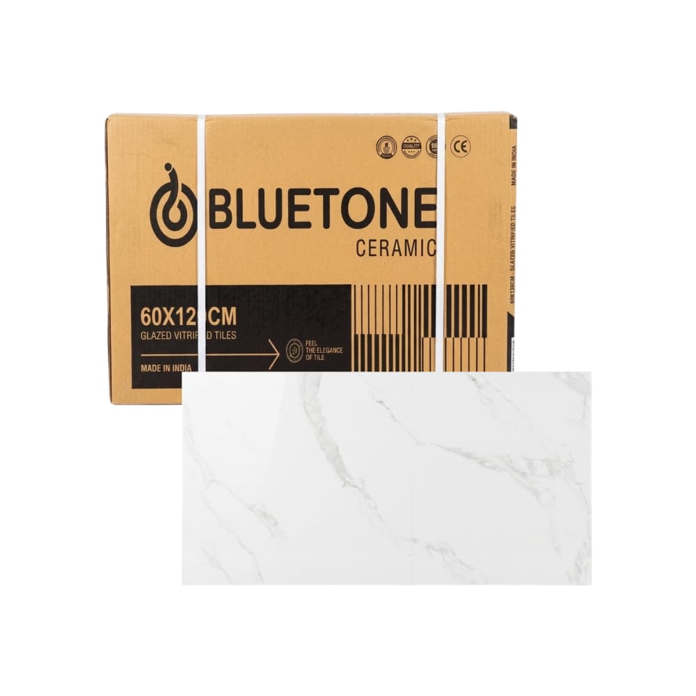 Losas de cerámica Mármol Carrara pulido Bluetone (2 U x 600 mm x 1200 mm) - Miniatura 1