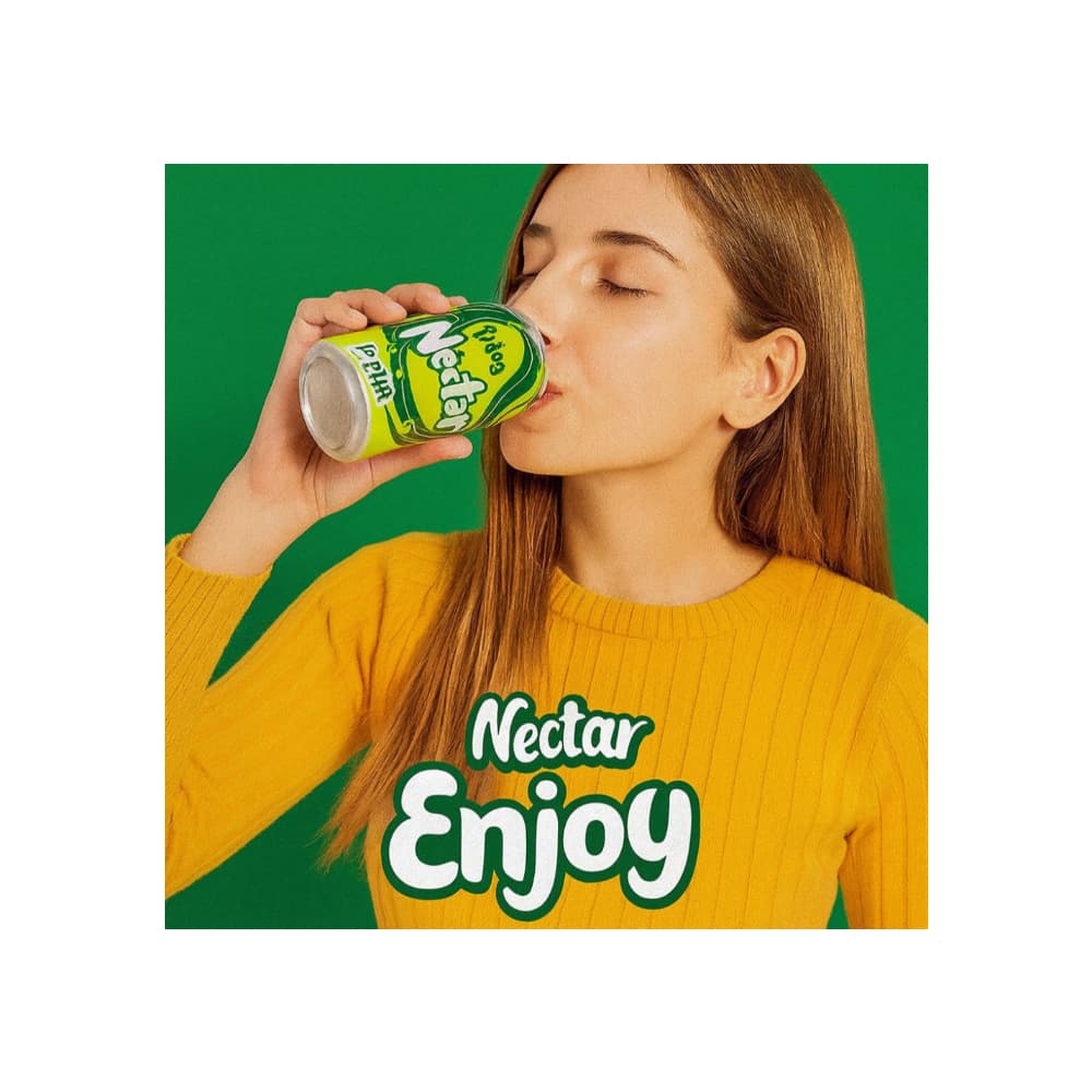 Néctar de pera Enjoy (12 x 330 ml / 11.2 fl oz) - Miniatura 2