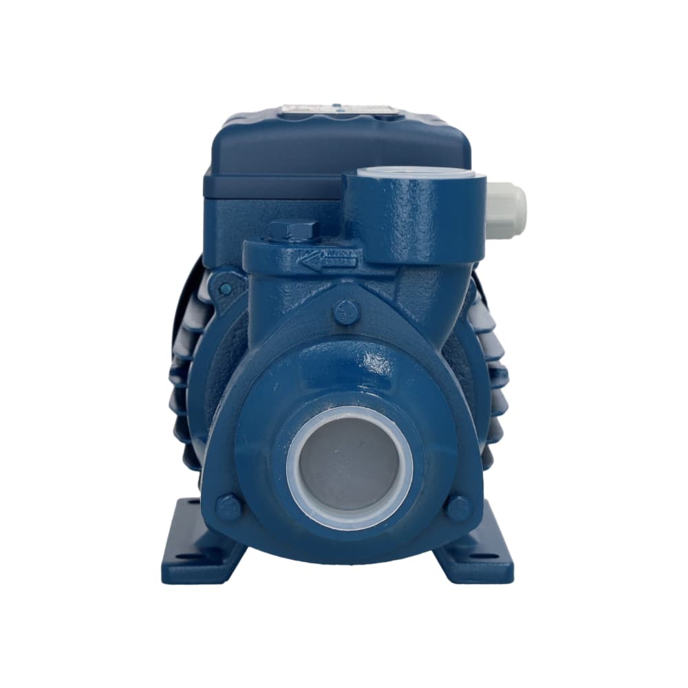 Bomba de agua Pentax PM45 - Miniatura 2