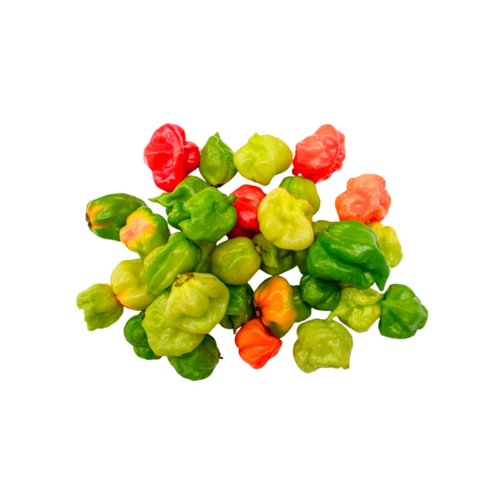 Ají cachucha MCH-Campestre (200 g / 7.05 oz) - Miniatura 3