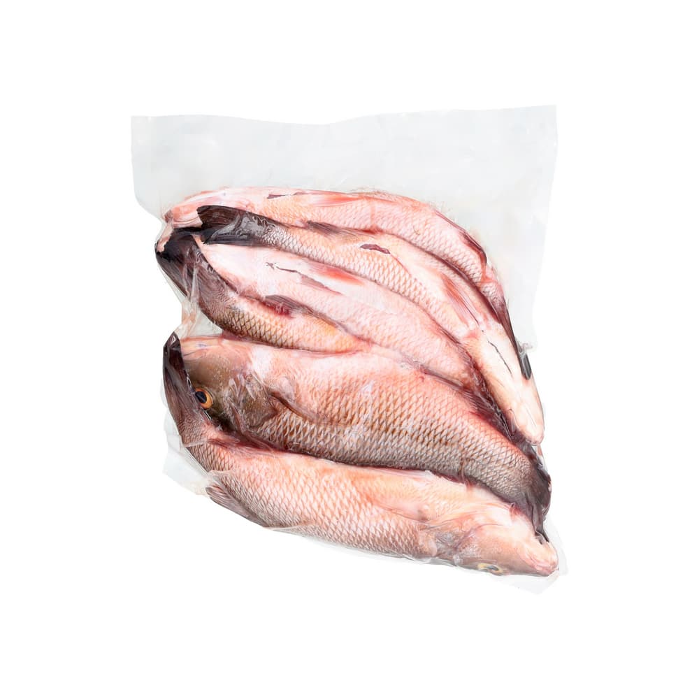 Pescado cubera entera Ilé (3 kg / 6.6 lb) - Miniatura 4