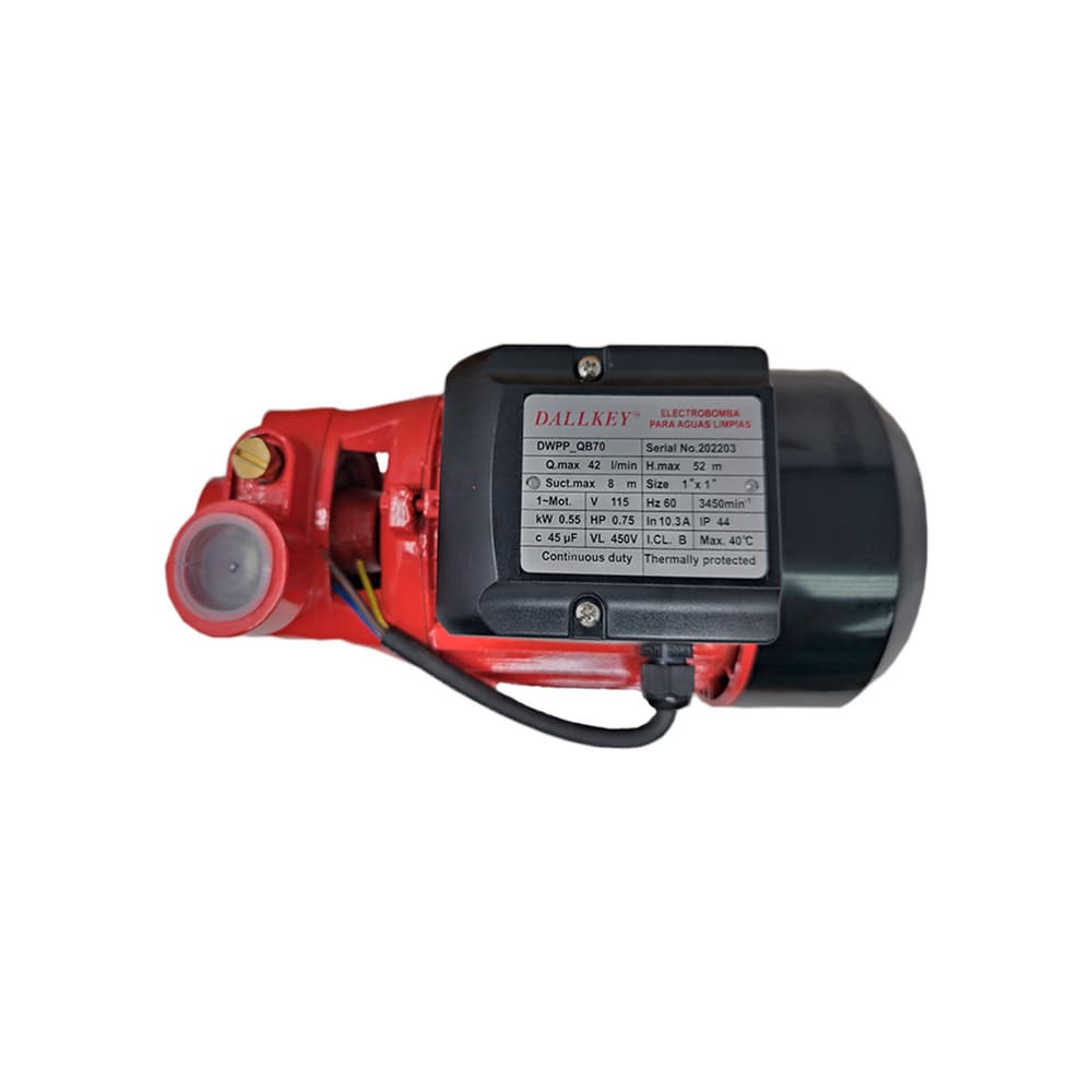 Bomba de agua periférica de 3/4 HP / 1" x 1" Dallkey DWPP_QB70 - Miniatura 2