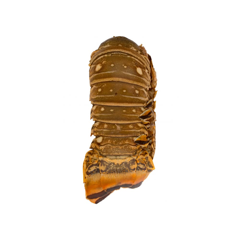 Cola de langosta Yunque (454 g / 1 lb) - Imagen 1