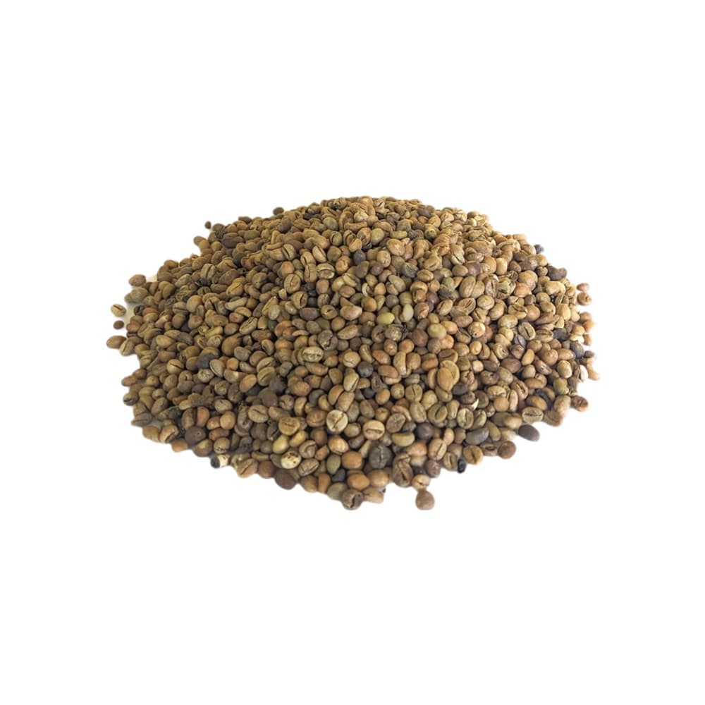 Café criollo despulpado en granos secos La Finca (1 kg / 2.2 lb) - Miniatura 2