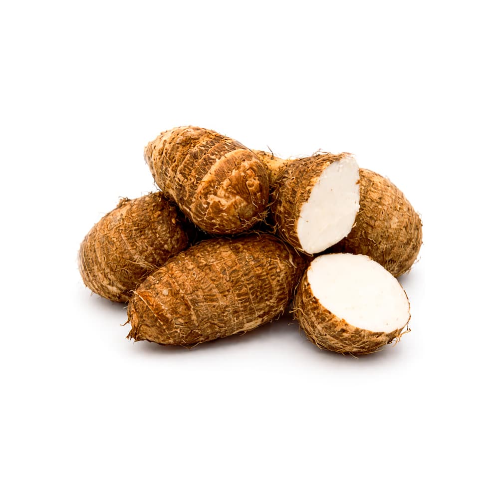 Malanga PDL LMC (1.36 kg / 3 lb) - Imagen 1