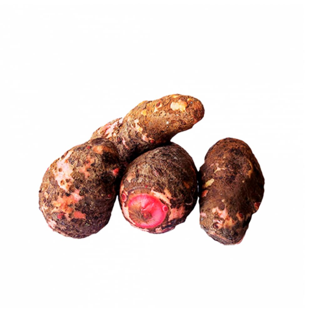 Malanga (1.36 kg / 3 lb) - Miniatura 2