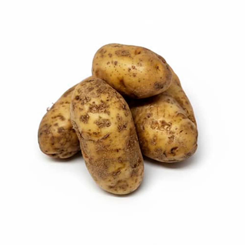 Papa MCH (4.53 kg / 10 lb) - Miniatura 2