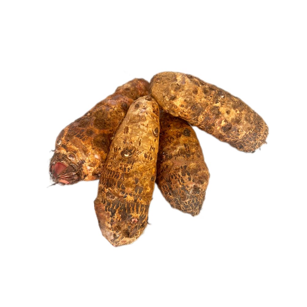 Malanga (1.36 kg / 3 lb) - Miniatura 2