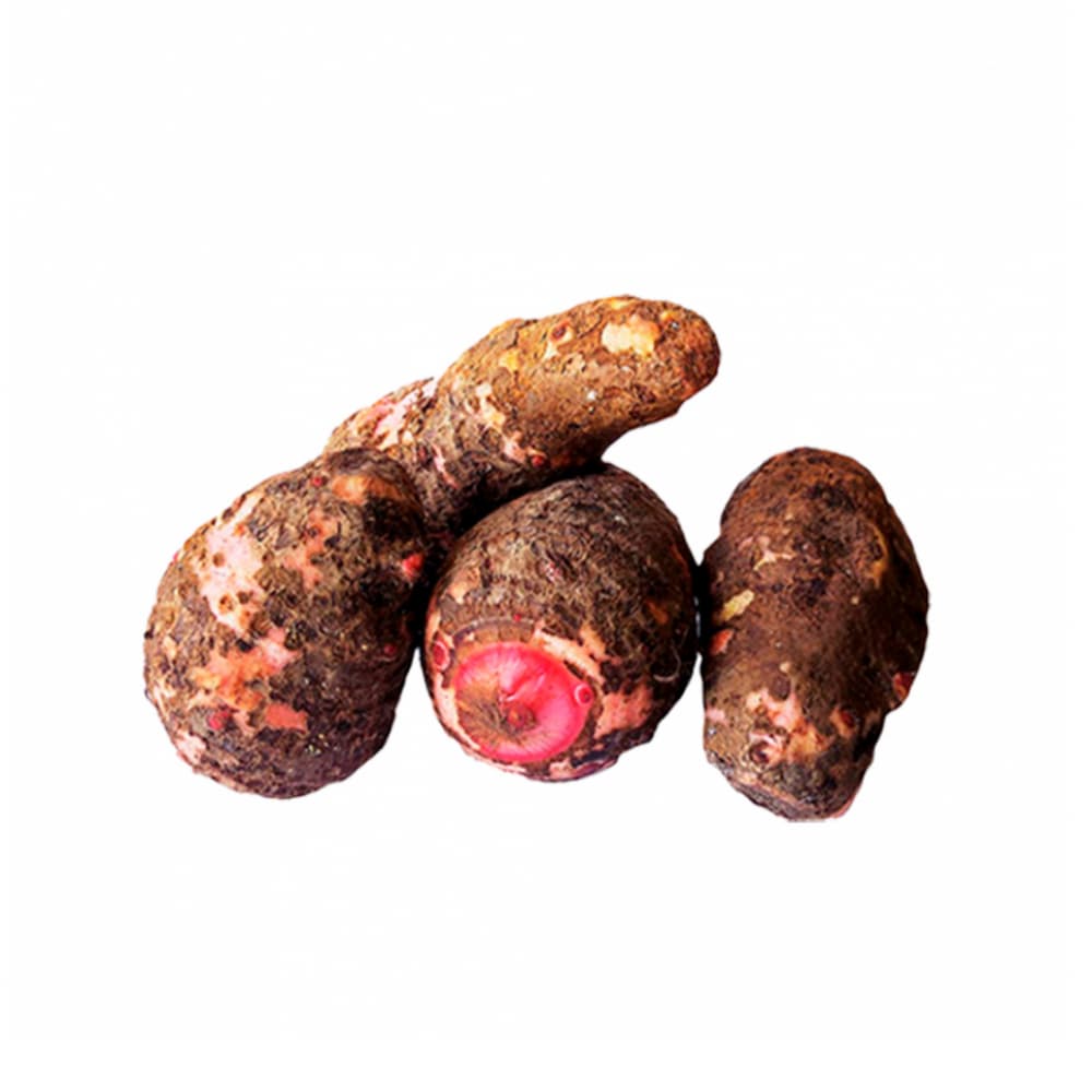 Malanga (2.27 kg / 5 lb) - Miniatura 2