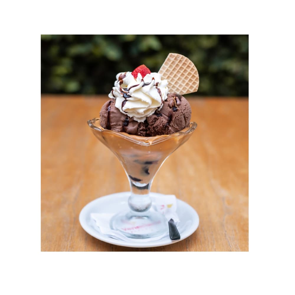 Helado sabor chocolate bombón Alask (4 L) - Miniatura 4