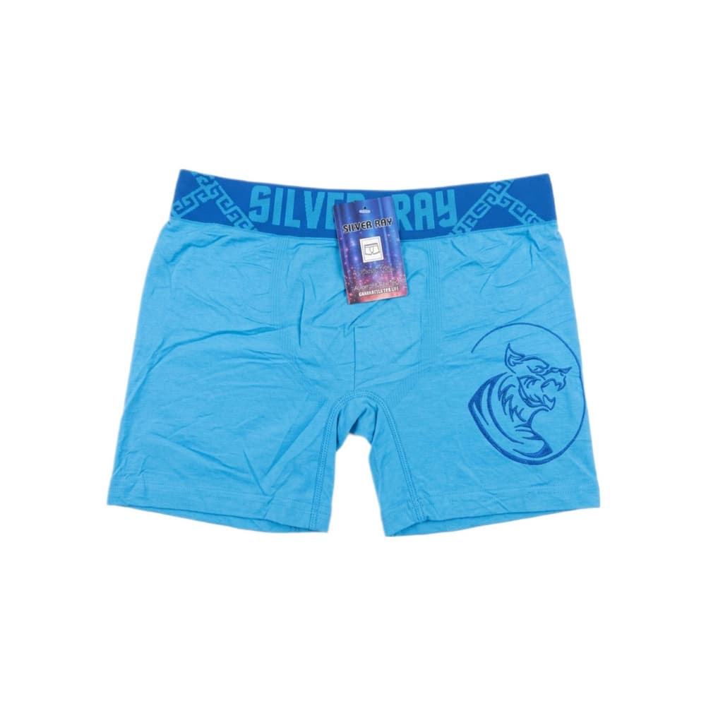 Calzoncillo azul claro hombre Silver Ray (Talla única) - Miniatura 1